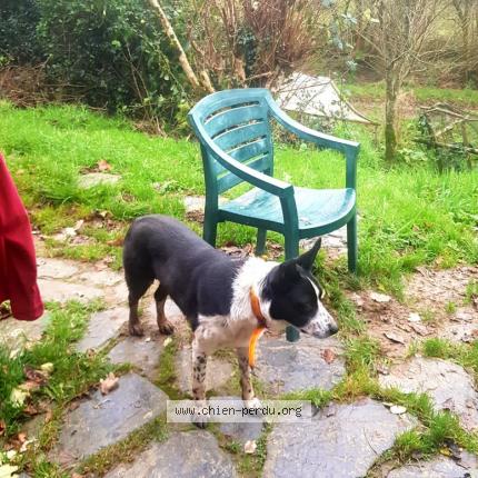 Photo 1/1 Syd Chien lost in Spezet