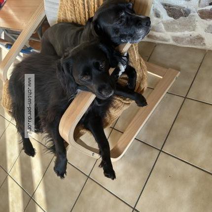 Photo 1/1 Tika Chien lost in Etreham