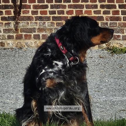 Photo 1/1 Naya Chien lost in Villainville