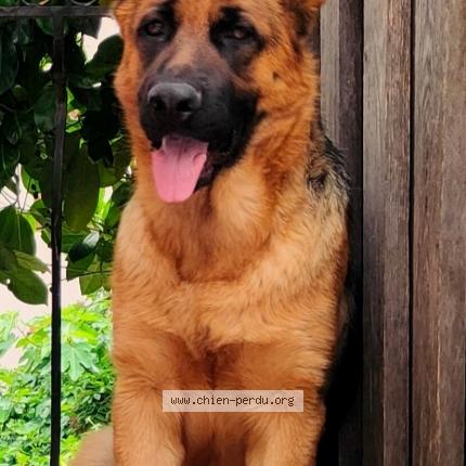 Photo 1/1 Fanny Chien lost in Sollies pont