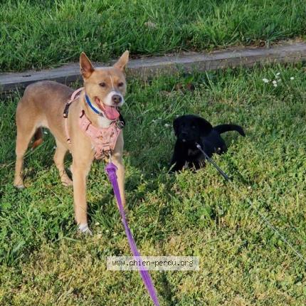 Photo 1/1 Fiona Chien lost in Albi