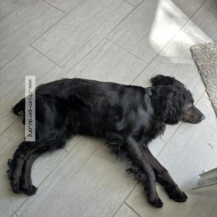 Photo 1/1 Maya Chien lost in Angouleme