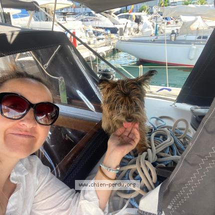 Photo 1/1 Lily Chien lost in St tropez