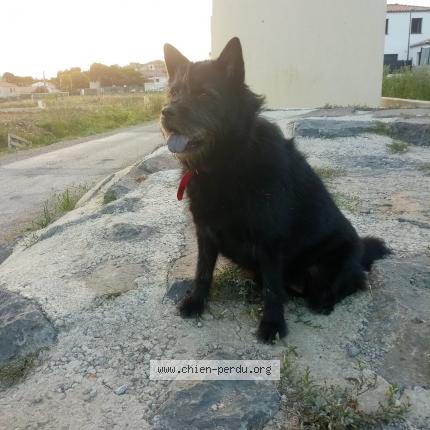 Photo 1/1 Indya Chien lost in Chambery