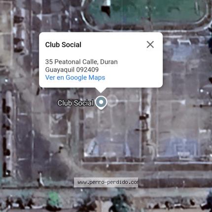 Photo 1/1 Found dog Found in Duran