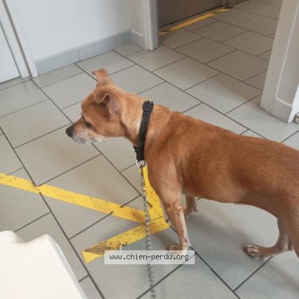 Photo 1/2 Tina Chien lost in Lens