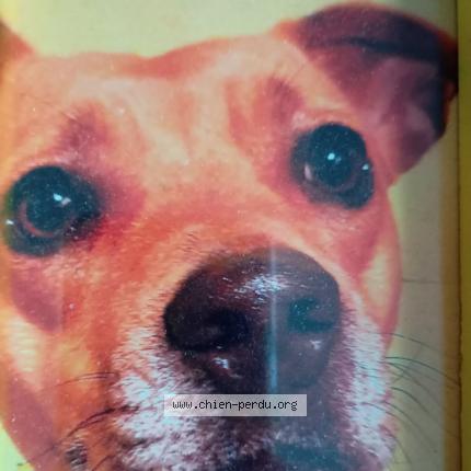 Photo 2/2 Tina Chien lost in Lens