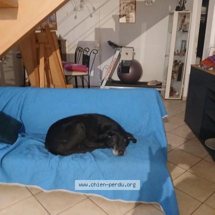 Photo 1/1 Vito Chien lost in Avainville