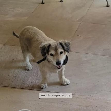 Photo 1/1 Jessy Chien lost in Castellar