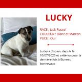 Picture of dog lost at Buno Bonnevaux