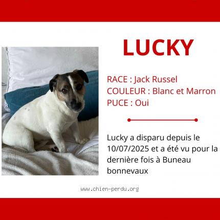 Photo 1/1 Lucky Chien lost in Buno bonnevaux