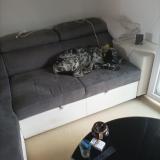 Picture of dog lost at Rouffiac