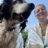 Picture of dog lost at Bonnevaux