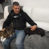 Picture of dog lost at Saint Gilles