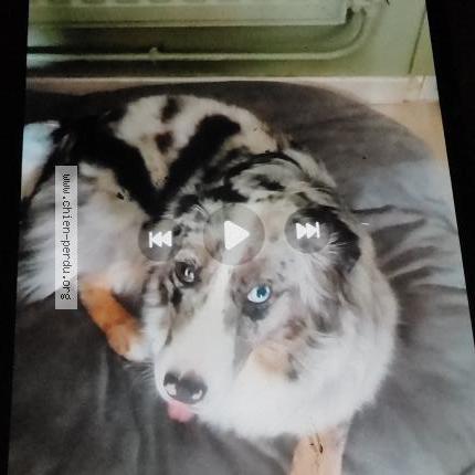 Photo 1/1 Viona Chien lost in Poisy