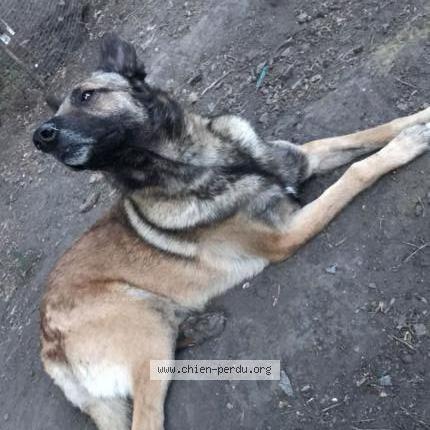 Photo 1/1 Yanky Chien lost in Marchienne