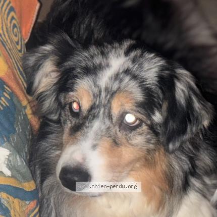 Photo 1/1 Lili Chien lost in Chamarande