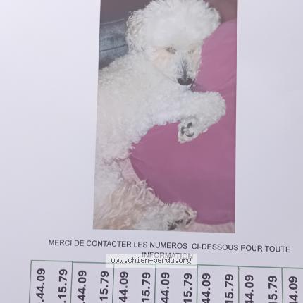 Photo 1/1 Heidi Chien lost in Labastide st pierre