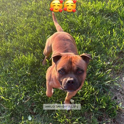 Photo 1/1 Stan Chien lost in Domessin