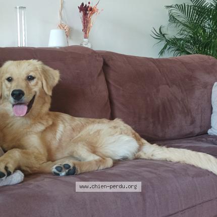 Photo 1/1 Tia Chien lost in Le broc