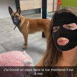 Picture of dog found at Clermont Ferrant