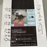 Kaily