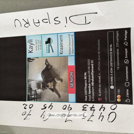 Photo 1/1 Kaily Chien lost in Kraainem