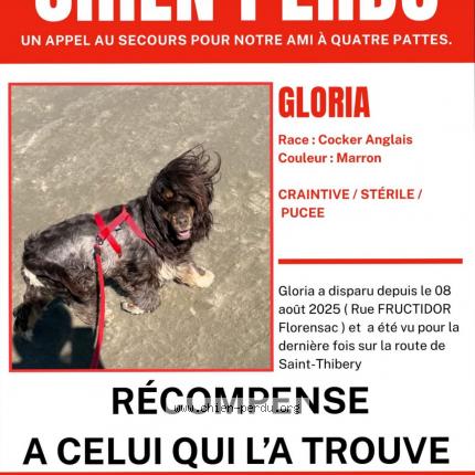 Photo 1/1 Gloria Chien lost in Florensac
