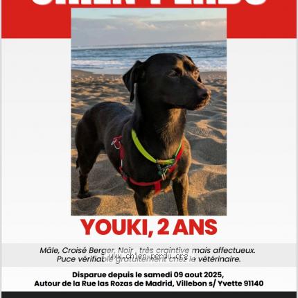 Photo 1/1 Youki Chien lost in Villebon sur yvette