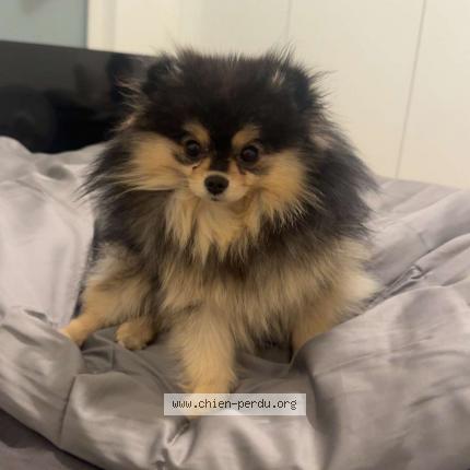 Photo 1/1 Ivy Chien lost in Cannes