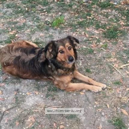 Photo 1/1 Lucy Chien lost in Cazaubon