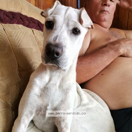 Photo 3/3 Nina Chien lost in Pavas