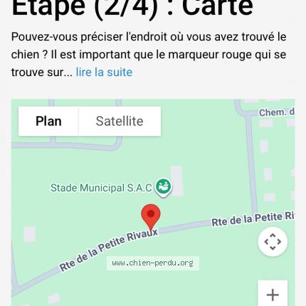 Photo 1/1 Reunited dog Found in Cissac Medoc