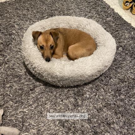 Photo 1/1 Becky Chien lost in Roquebrune cap martin