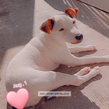 Photo 1/1 Mia Chien lost in Lespignan