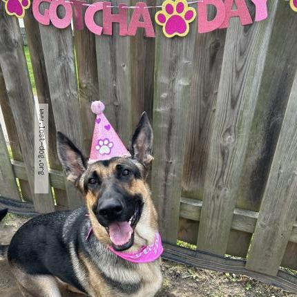 Photo 1/1 Luna Chien lost in Not sure