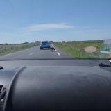 Picture of dog found at Arles