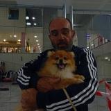Picture of dog lost at Villematier