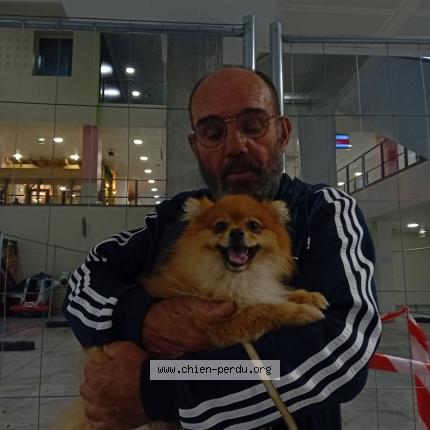 Photo 1/1 Winny Chien lost in Villematier