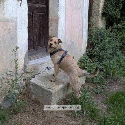 Photo 1/1 Teya Chien lost in Thonon les bains