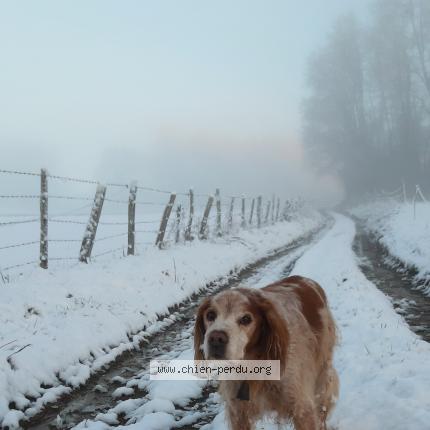 Photo 1/1 Elioth Chien lost in Eyburie