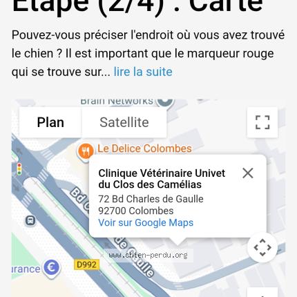 Photo 1/1 Found dog Found in Colombes