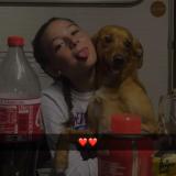 Picture of dog lost at Rouvroy