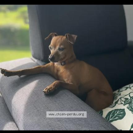 Photo 1/1 Oscar Chien lost in Quincampoix