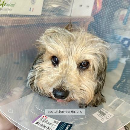 Photo 1/1 Talya Chien lost in Arinthod