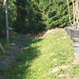 Picture of dog found at Labarthe Leze