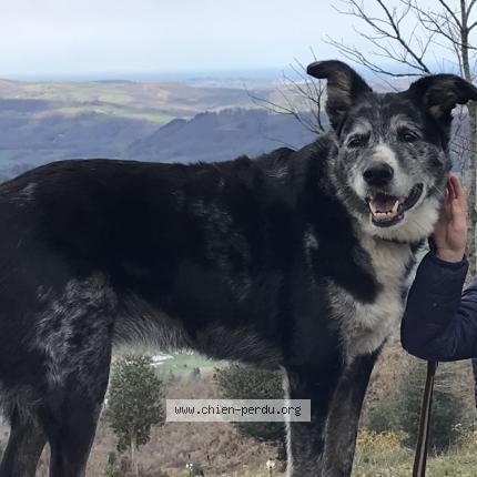 Photo 1/1 Jasper Chien lost in Tartas