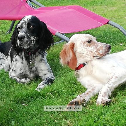 Photo 1/1 Naya Chien lost in Seguret