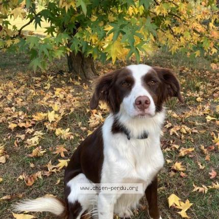 Photo 1/1 Joy Chien lost in Hinx