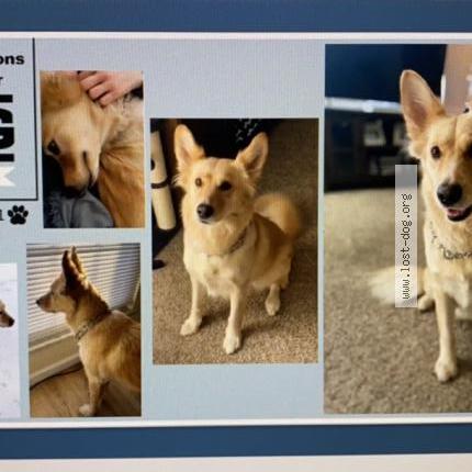 Photo 1/1 Haven Chien lost in Granite